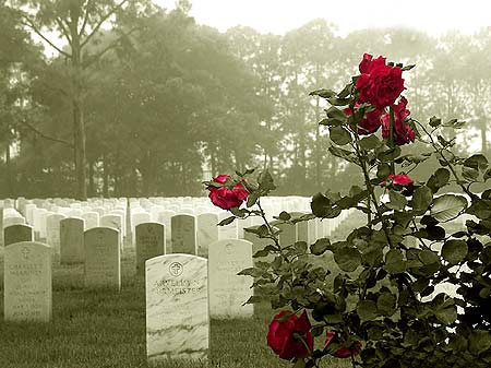 Memorial Day 2007 - Click Here for a passage from the Frank Messina poem "The Corresponding Breeze" 